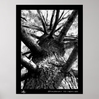 Stairway to Heaven Poster