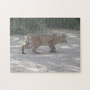 Stalking Bobcat Jigsaw Puzzle