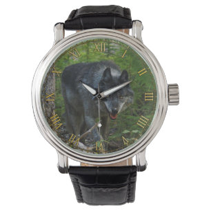 Stalking Grey Wolf in Forest #Gift Watch Range