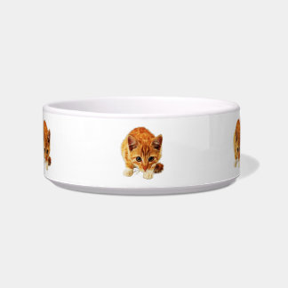 Stalking Kitten Staring at You Bowl