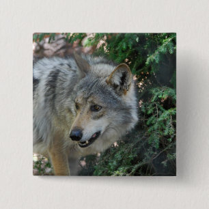 Stalking Wolf Pin