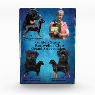 Stall Grand Sweepstakes Photo Block