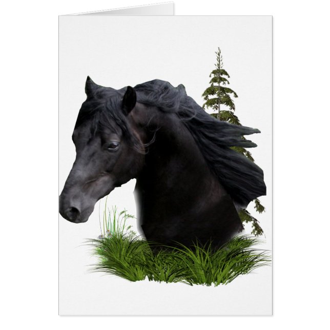 stallion.final (Front)