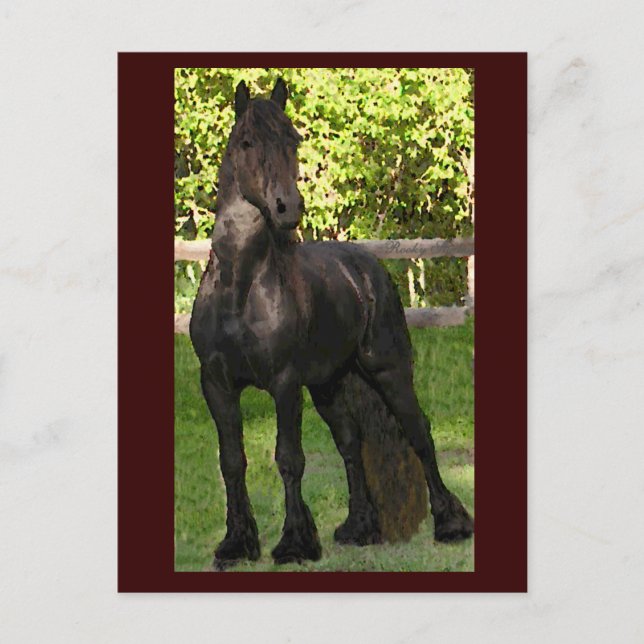 Stallion Painting Postcards (Front)