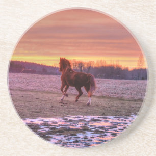 Stallion Running Home at Sunset on Ranch Coaster