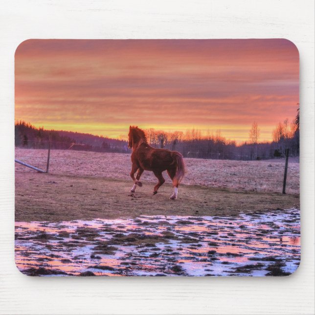 Stallion Running Home at Sunset on Ranch Mouse Pad (Front)