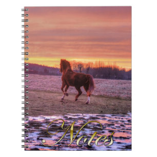 Stallion Running Home at Sunset on Ranch Notebook