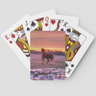 Stallion Running Home at Sunset on Ranch Playing Cards
