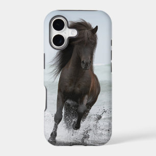 Stallion Running On Beach North Atlantic