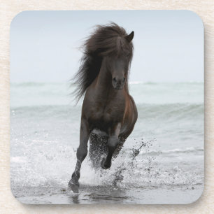 Stallion Running On Beach   North Atlantic Coaster