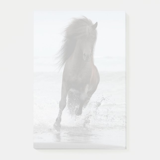 Stallion Running On Beach | North Atlantic Post-it Notes (Front)