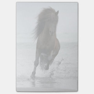 Stallion Running On Beach North Atlantic Post-it Notes