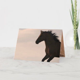 Stallion Runs at Sunrise Wild Horse Greeting Card
