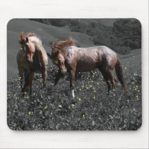 Stallion Spar Mouse Pad