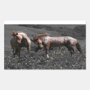 Stallion Spar Rectangular Sticker