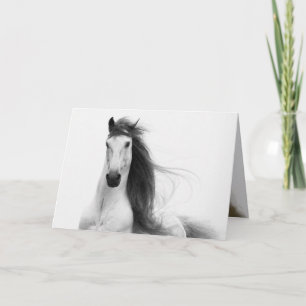 Stallion's Glory Horse Greeting Card