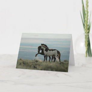 Stallions on the High Desert Greeting Card