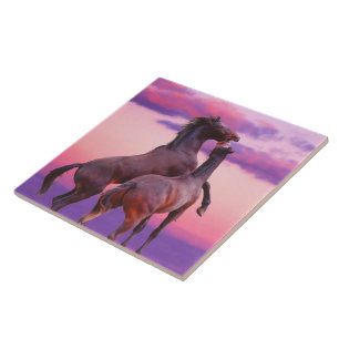 Stallions Playing Tile