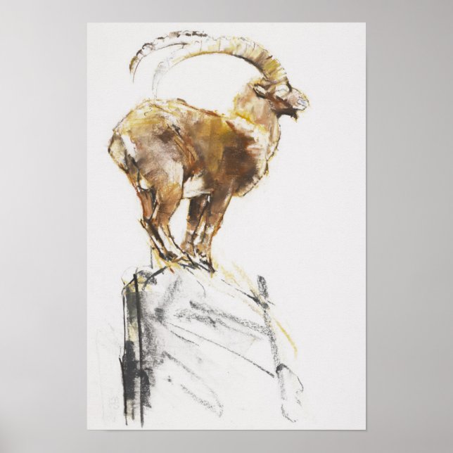 Stambecco d'Oro 2005 Poster (Front)