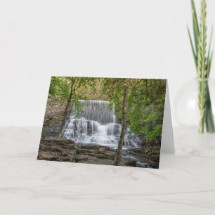 Stametz Dam Card