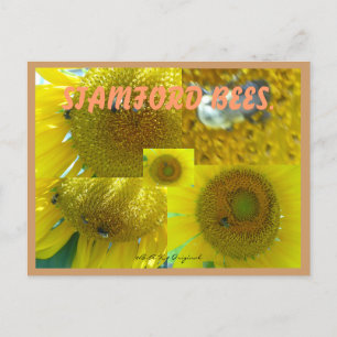 STAMFORD CT BEES POSTCARD