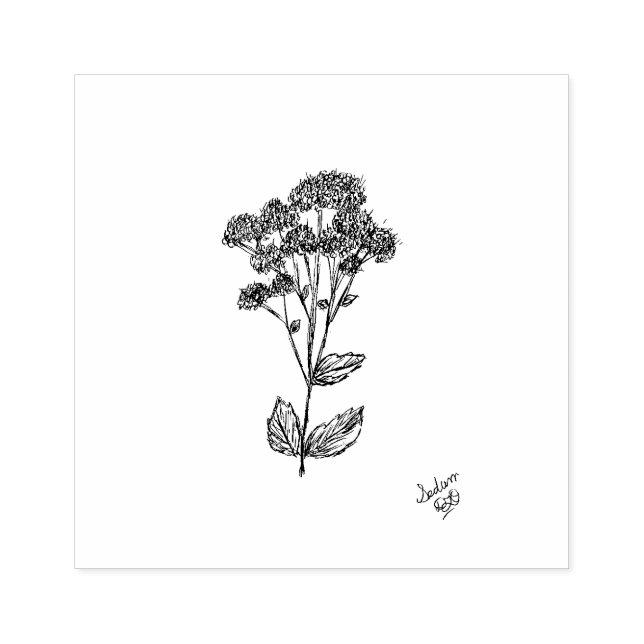 Stamp, Botanical Art, Sedum Plant Rubber Stamp (Imprint)