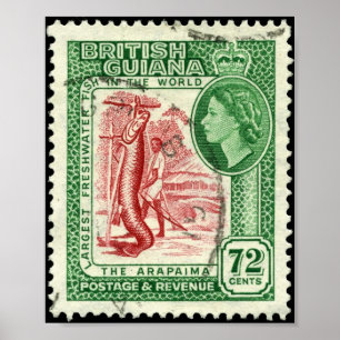 Stamp British Guiana 1954 72c Portfolio Poster