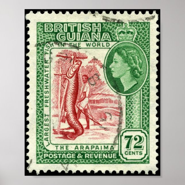 Stamp British Guiana 1954 72c Portfolio Poster (Front)