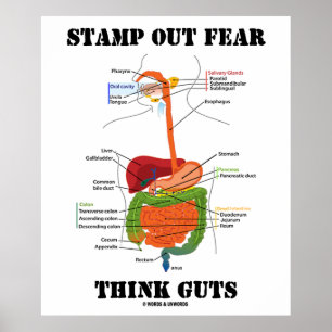 Stamp Out Fear Think Guts (Digestive System Poster