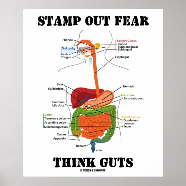 Stamp Out Fear Think Guts (Digestive System Poster (Front)