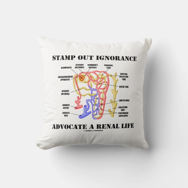Stamp Out Ignorance Advocate A Renal Life Nephron Cushion (Front)