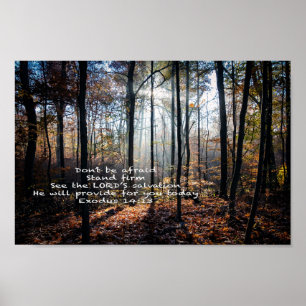 Stand Firm --  Poster