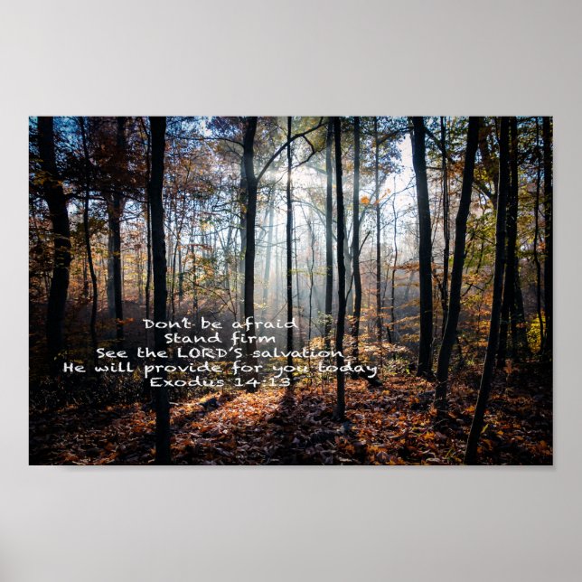 Stand Firm --  Poster (Front)