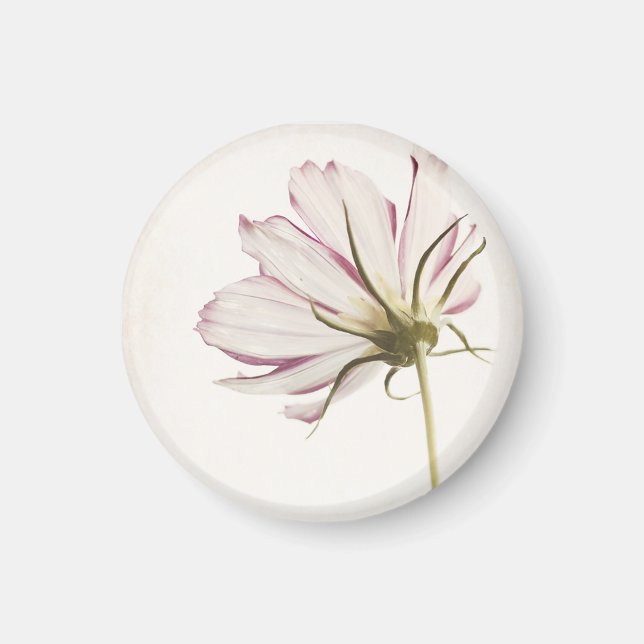 "Stand in the Light" Magnet (Front)