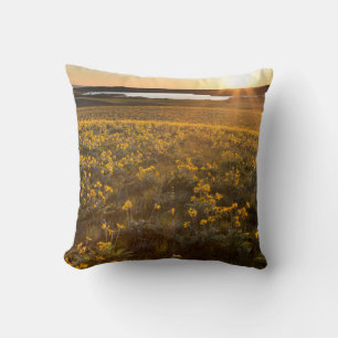 Stand Of Arrowleaf Balsamroot Wildflowers Cushion