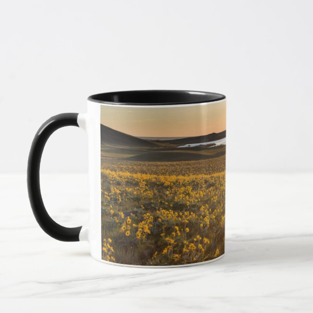 Stand Of Arrowleaf Balsamroot Wildflowers Mug (Left)