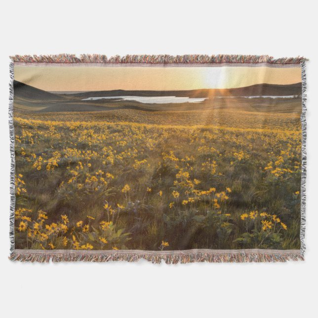 Stand Of Arrowleaf Balsamroot Wildflowers Throw Blanket (Front)