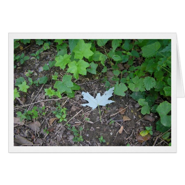 Stand Out (Front Horizontal)