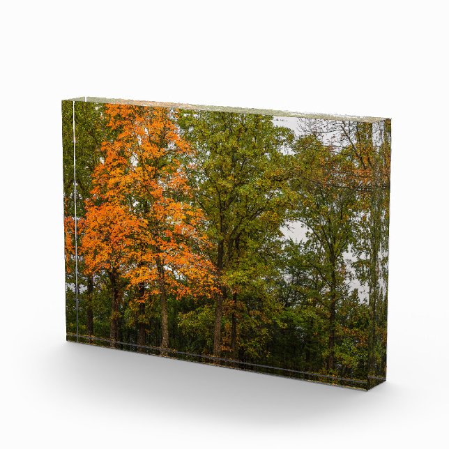 Stand Out Photo Block (Right)