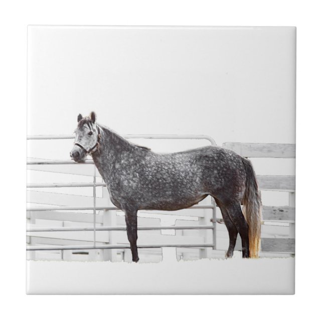 Stand Proud Ceramic Tile (Front)