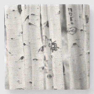 Stand tall Aspen's Stone Coaster