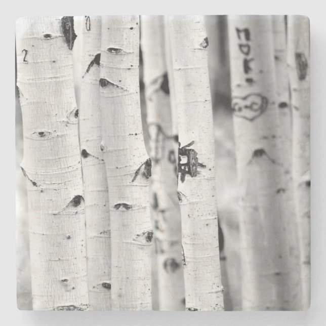 Stand tall Aspen's Stone Coaster (Front)