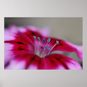 Stand Tall - Flower Poster