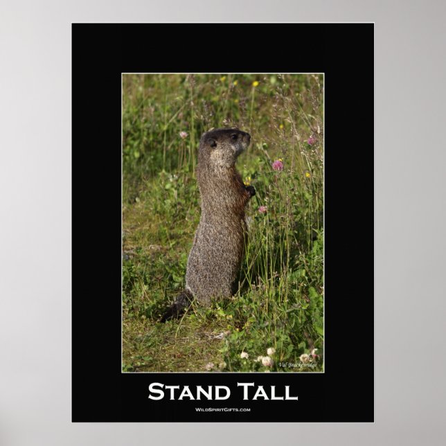 Stand Tall Motivational Poster (Front)
