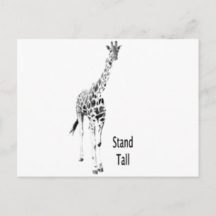 Stand Tall Postcard