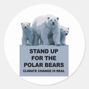 Stand Up for the Polar Bears Classic Round Sticker