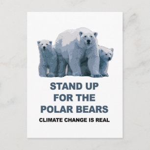 Stand Up for the Polar Bears Postcard