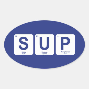Stand Up Paddleboarding Oval Sticker