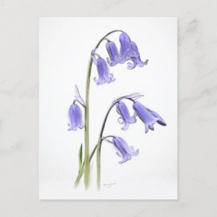 Standard, 12.7 cm x 17.8 cm Folded Greeting Card