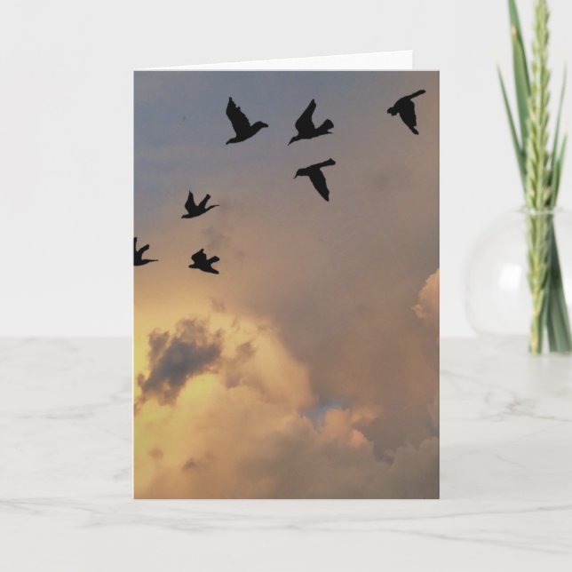 Standard, 5" x 7" Folded Greeting Card (Front)